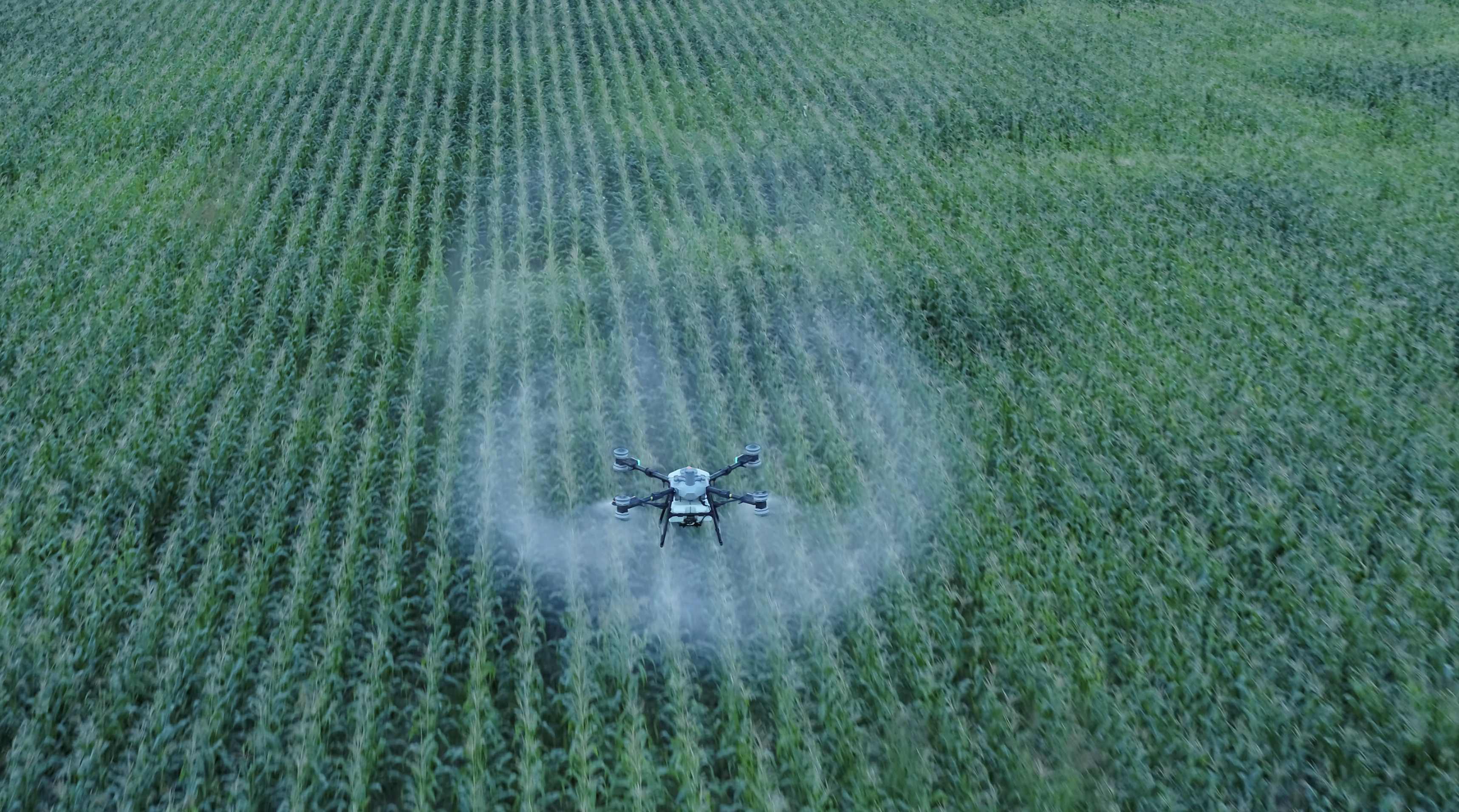 Crop care service