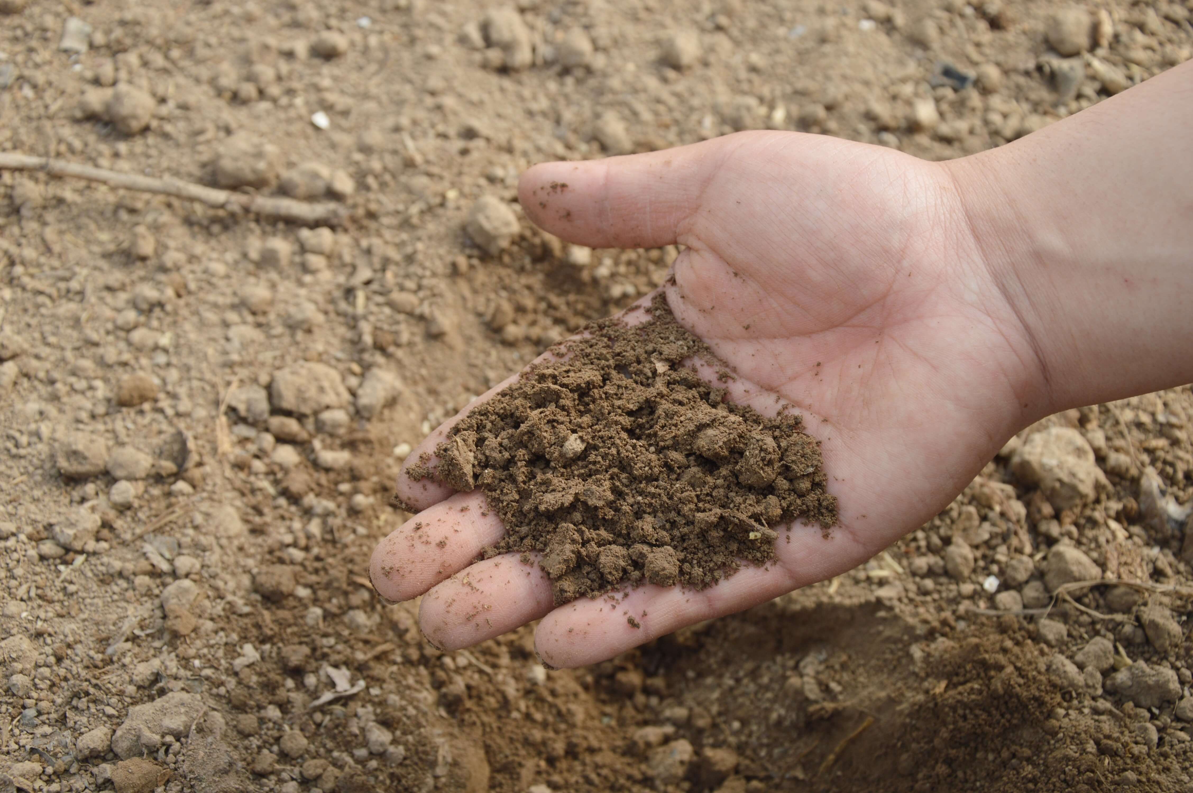 Soil analysis service